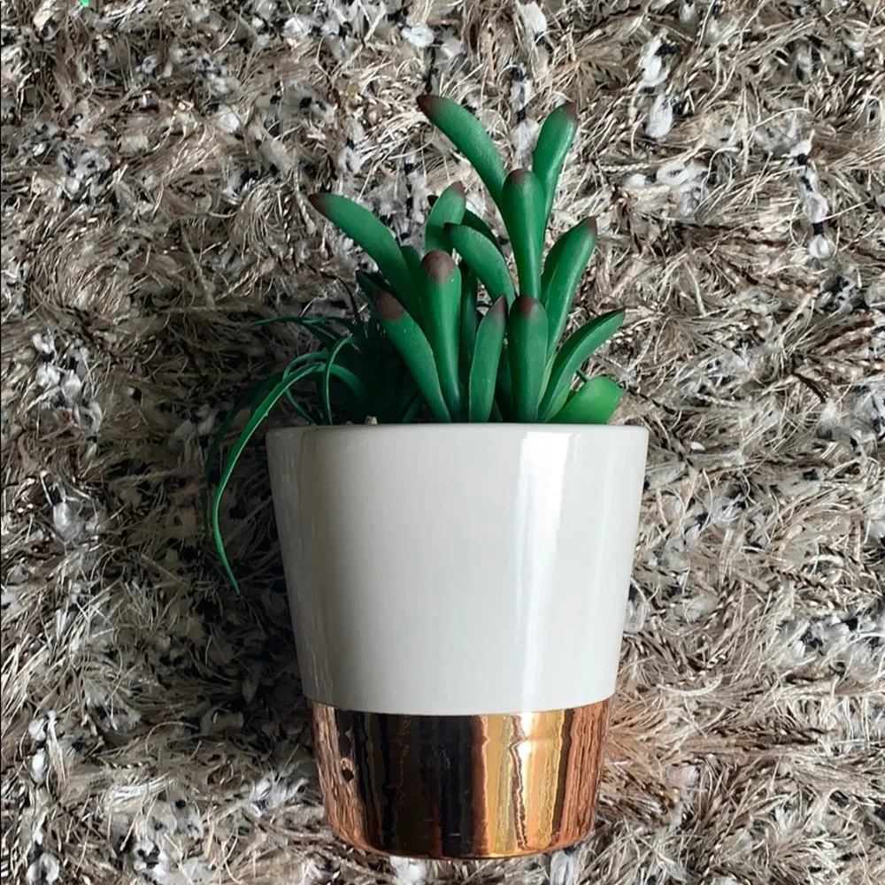 Rose‎ gold Succulent ceramic and metallic plant pot